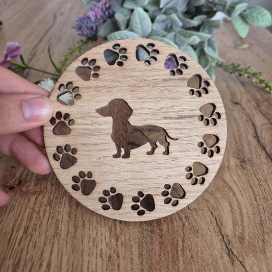 For the Love of Dachshunds: Why We Can’t Resist These Little Sausages