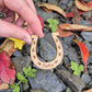 Personalised Wooden Horseshoe