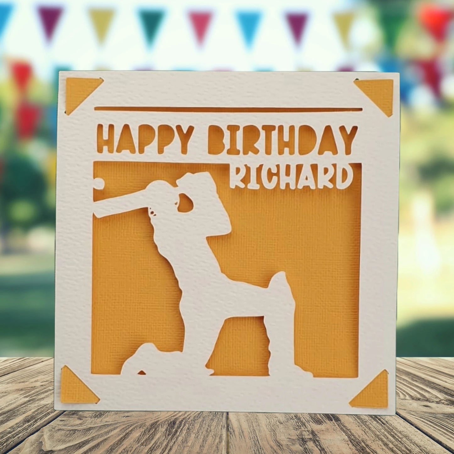 Cricket Player Personalised Birthday Card